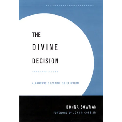 Divine Decision: A Process Doctrine of Election - Paperback