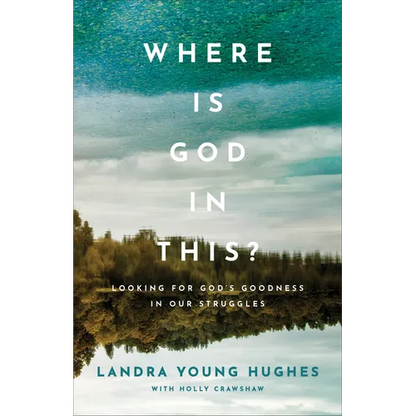 Where Is God in This?: Looking for God's Goodness in Our Struggles - Paperback