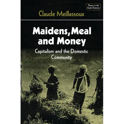 Maidens, Meal, and Money: Capitalism and the Domestic Community - Paperback