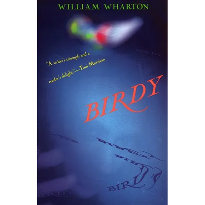 Birdy - Paperback