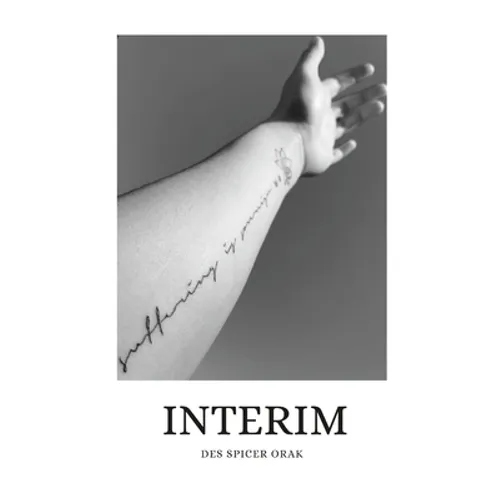 interim - Paperback