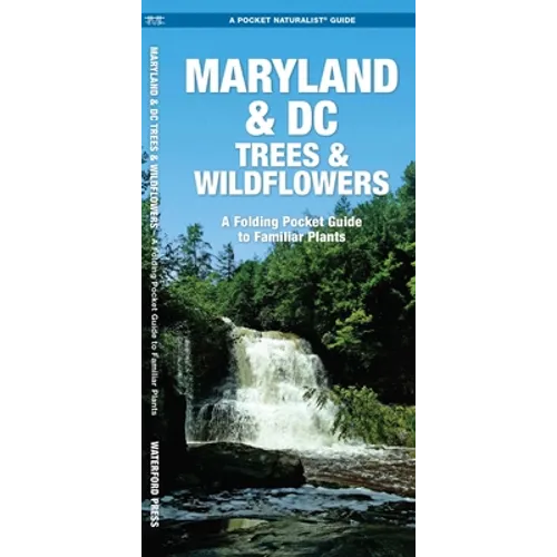 Maryland & DC Trees & Wildflowers: A Folding Pocket Guide to Familiar Plants - Hardcover