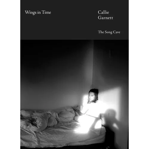 Wings in Time - Paperback