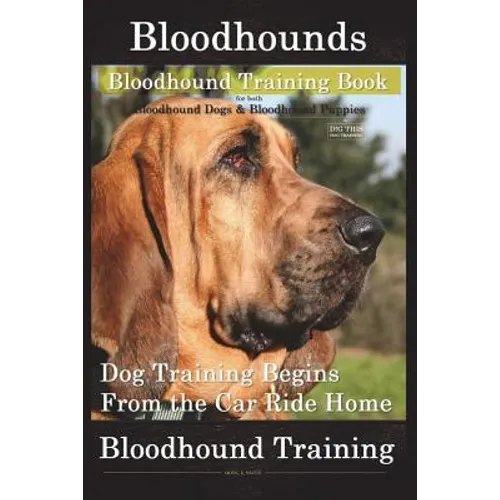 Bloodhounds, Bloodhound Training Book For both Bloodhound Dogs & Bloodhound Puppies By D!G THIS DOG Training: Dog Training Begins From the Car Ride Ho - Paperback