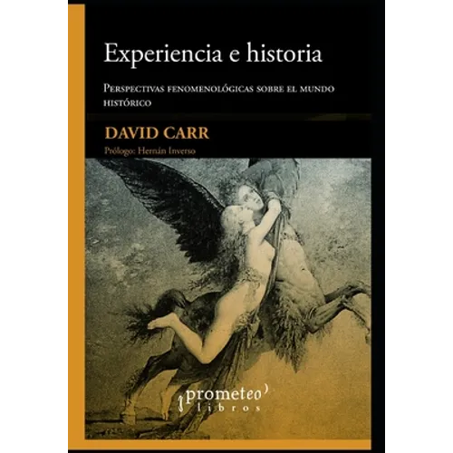Experiencia e historia: Perspectivas fenomenológicas sobre el tiempo histórico - Paperback
