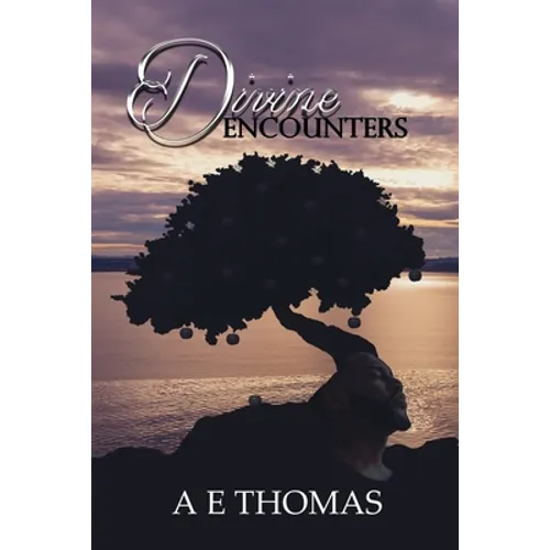 Divine Encounters - Paperback