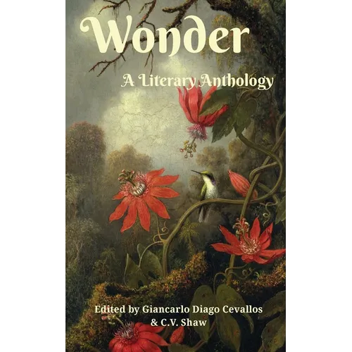 Wonder - Paperback