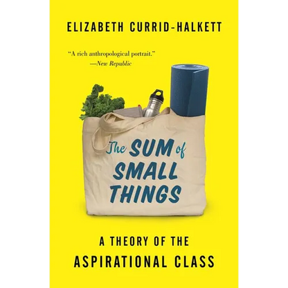 The Sum of Small Things: A Theory of the Aspirational Class - Paperback