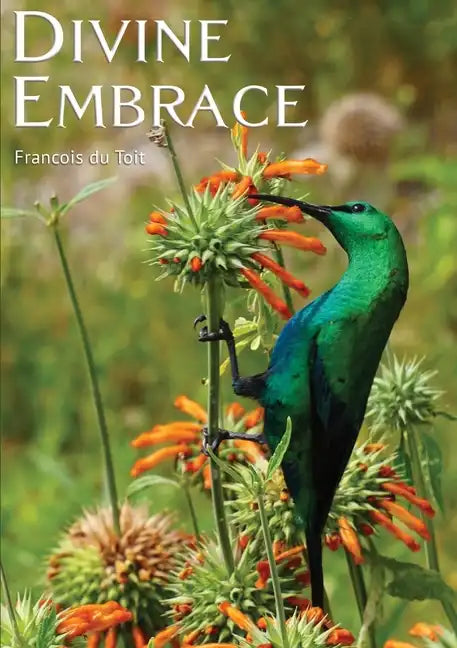 DIVINE EMBRACE New, 30 Chapter, 458page Revised Edition - Paperback