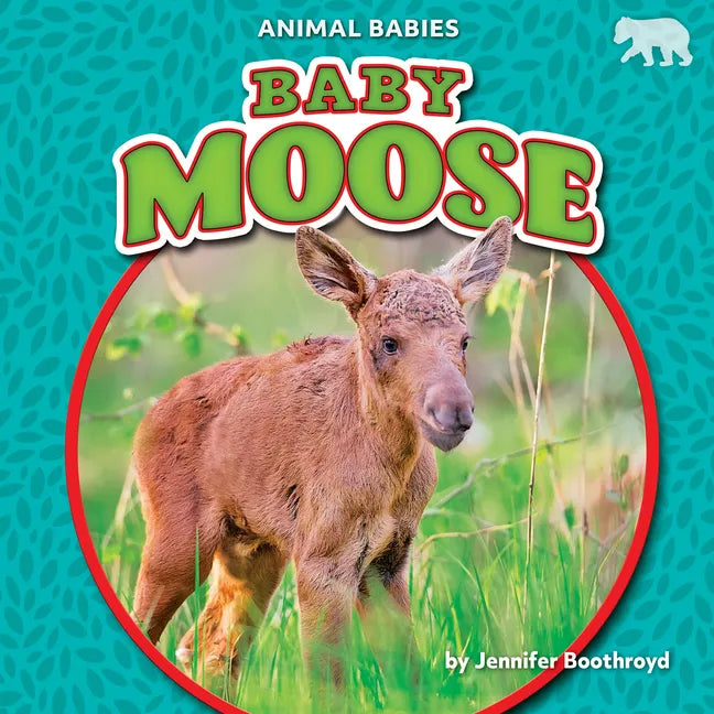 Baby Moose - Library Binding