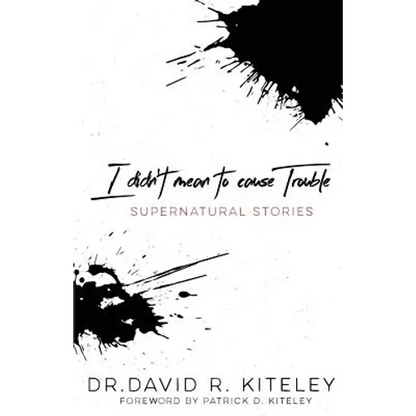 I Didn't Mean To Cause Trouble: Supernatural Stories - Paperback