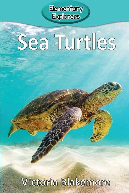 Sea Turtles - Paperback