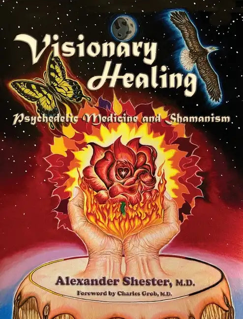VISIONARY HEALING Psychedelic Medicine and Shamanism - Hardcover