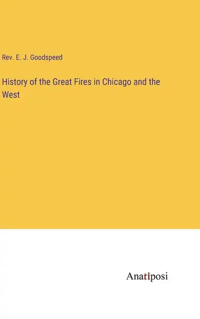 History of the Great Fires in Chicago and the West - Hardcover