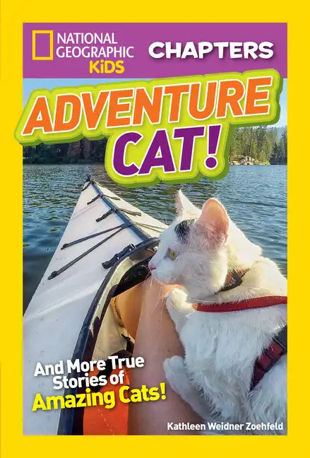 Adventure Cat!: And True Stories of Adventure Cats! - Paperback