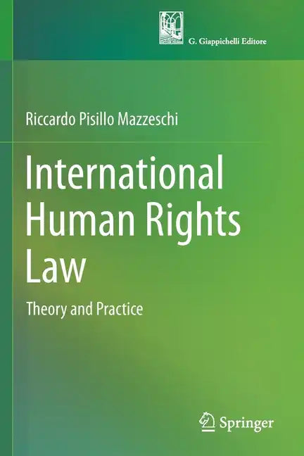 International Human Rights Law: Theory and Practice - Paperback