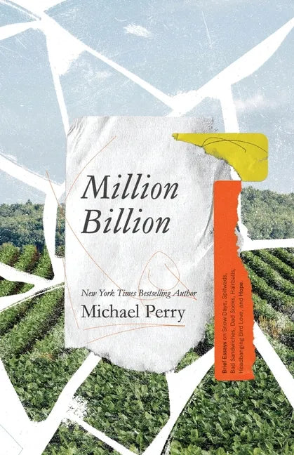 Million Billion: Brief Essays on Snow Days, Spitwads, Bad Sandwiches, Dad Socks, Hairballs, Headbanging Bird Love, and Hope. - Paperback