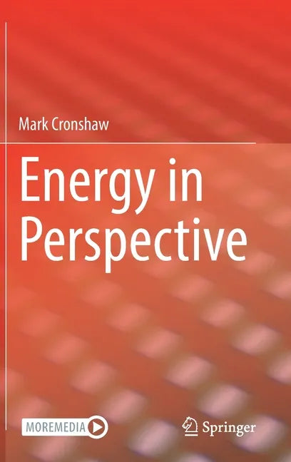 Energy in Perspective - Hardcover