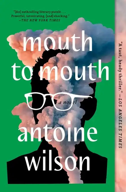 Mouth to Mouth - Paperback
