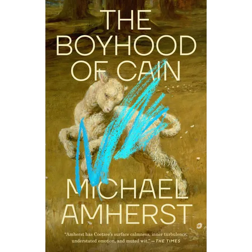 The Boyhood of Cain - Paperback