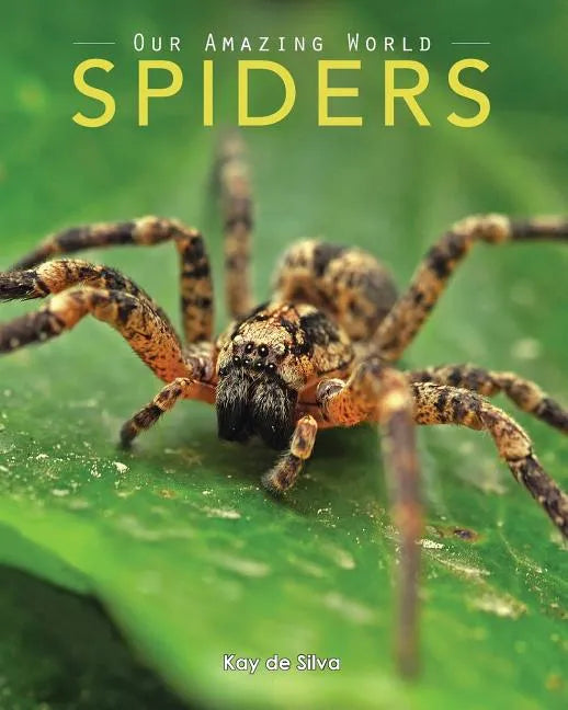 Spiders: Amazing Pictures & Fun Facts on Animals in Nature - Paperback