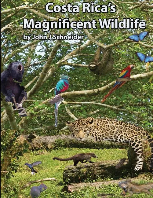 Costa Rica's Magnificent Wildlife - Paperback