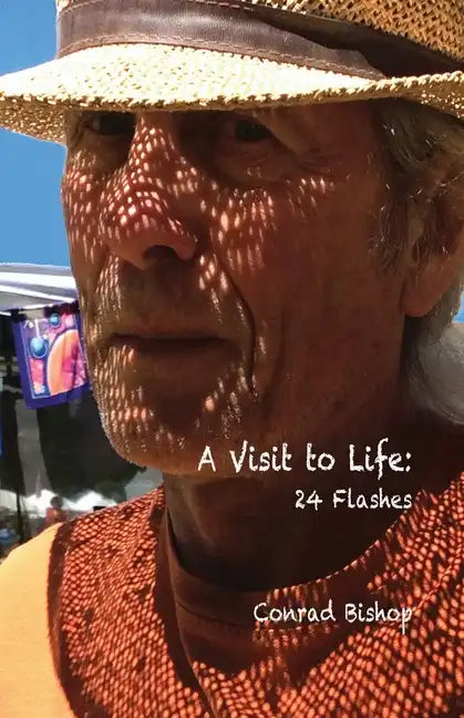 A Visit to Life: 24 Flashes - Paperback