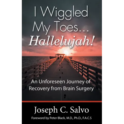 I Wiggled My Toes ... Hallelujah!: An Unforeseen Journey of Recovery from Brain Surgery - Paperback