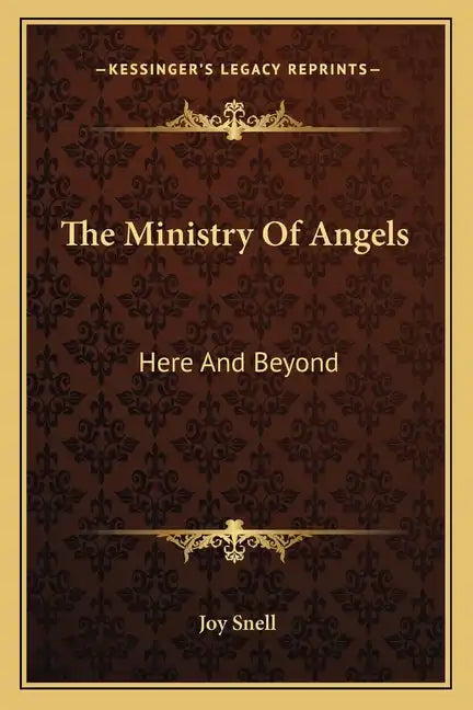 The Ministry of Angels: Here and Beyond - Paperback