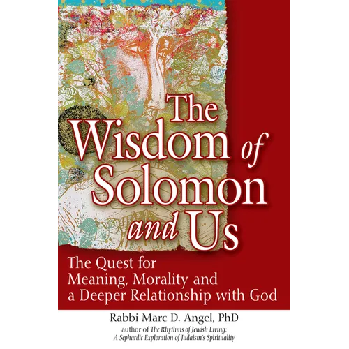 The Wisdom of Solomon and Us: The Quest for Meaning, Morality and a Deeper Relationship with God - Hardcover