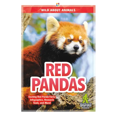 Red Pandas - Paperback