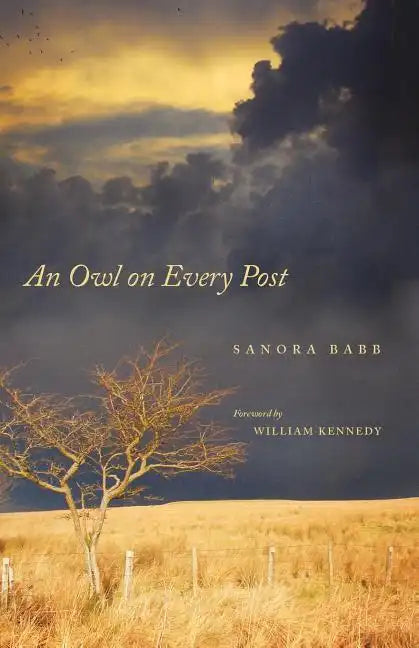 An Owl on Every Post - Paperback