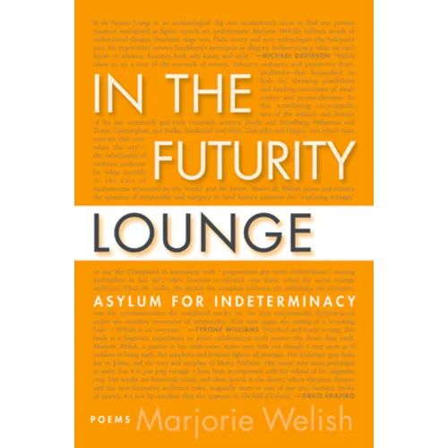 In the Futurity Lounge: Asylum for Indeterminacy - Paperback