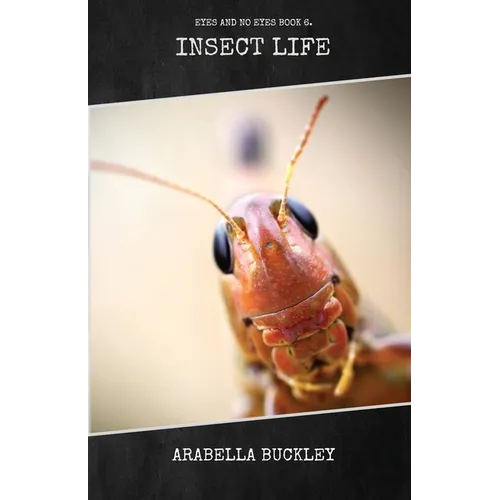 Insect Life - Paperback