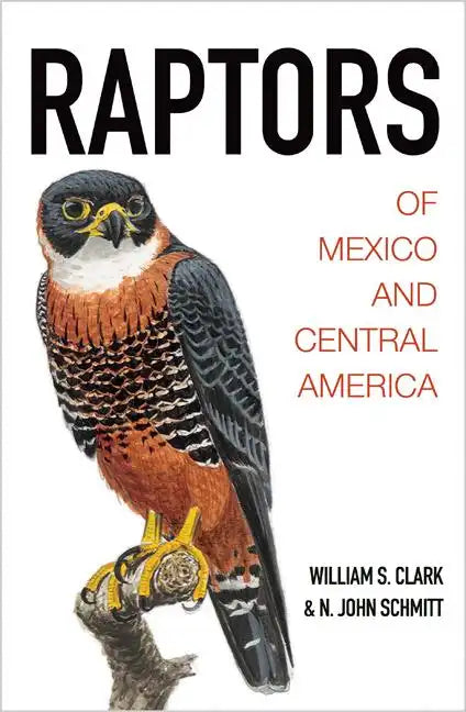 Raptors of Mexico and Central America - Hardcover