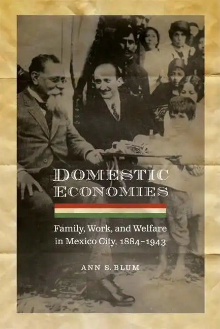 Domestic Economies: Family, Work, and Welfare in Mexico City, 1884-1943 - Paperback
