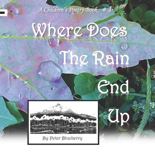 Where does the Rain end up - Paperback