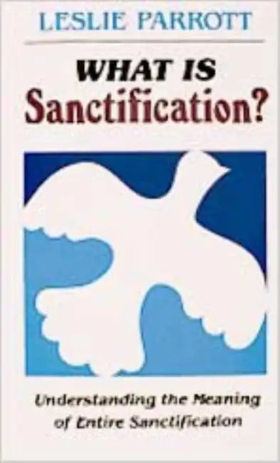 What Is Sanctification?: Understanding the Meaning of Entire Sanctification - Paperback