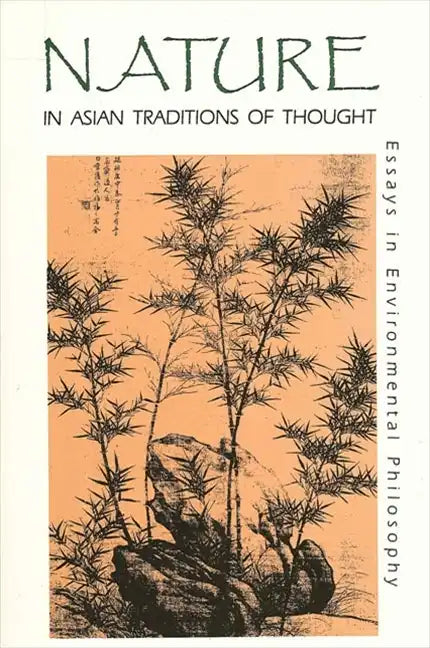Nature in Asian Traditions of Thought: Essays in Environmental Philosophy - Paperback