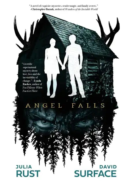 Angel Falls - Hardcover