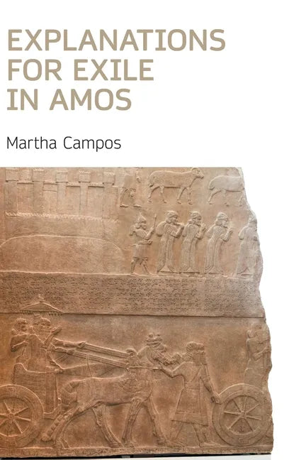 Explanations for Exile in Amos - Hardcover