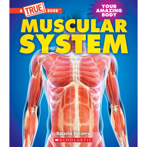 Muscular System (a True Book: Your Amazing Body) - Paperback