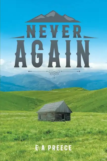 Never Again - Paperback