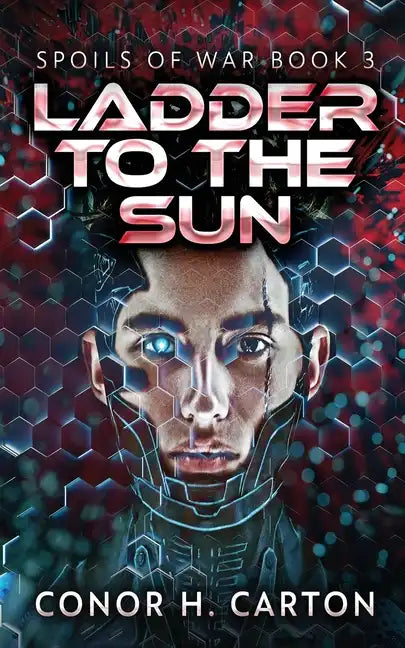 Ladder To The Sun - Paperback