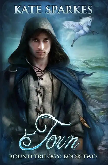 Torn - Paperback
