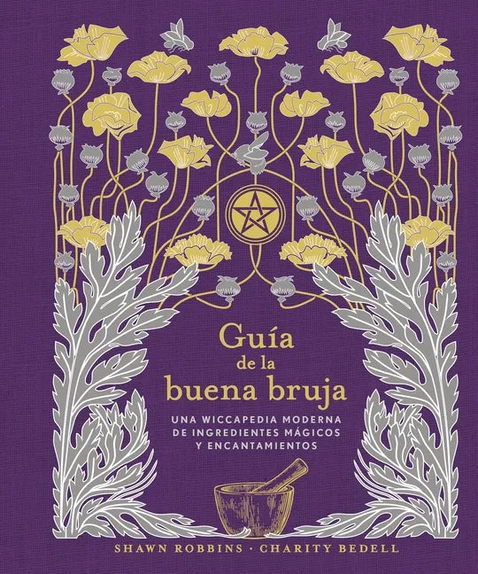 Guia de la Buena Bruja - Paperback
