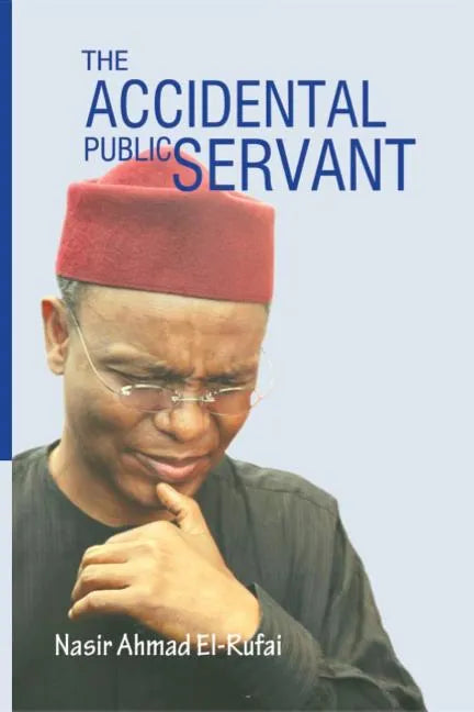 The Accidental Public Servant - Paperback