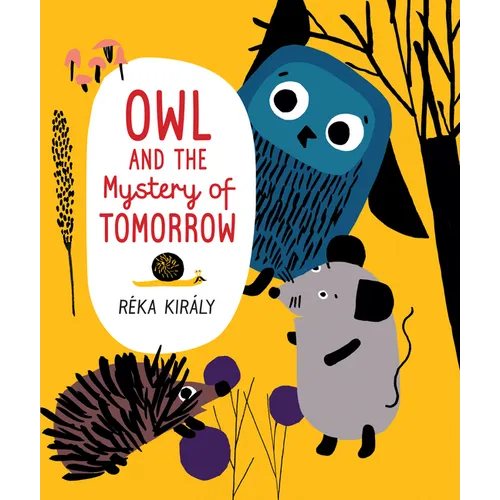 Owl and the Mystery of Tomorrow - Hardcover