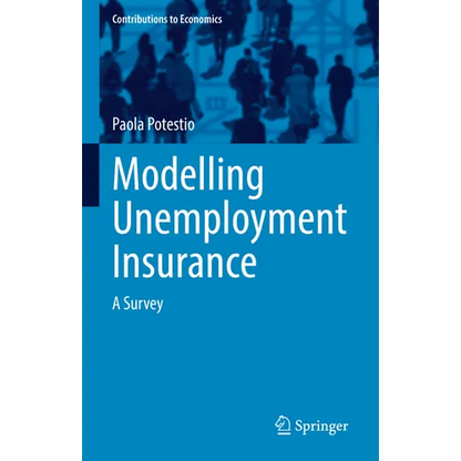 Modelling Unemployment Insurance: A Survey - Paperback