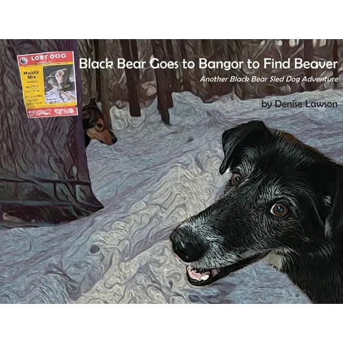 Black Bear Goes to Bangor to Find Beaver: Another Black Bear Sled Dog Adventure - Paperback